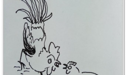 怎样用钢笔画母鸡孵化小鸡？