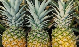 怎样才能选购成熟的水果呢