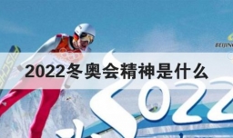 2022冬奥会精神是什么