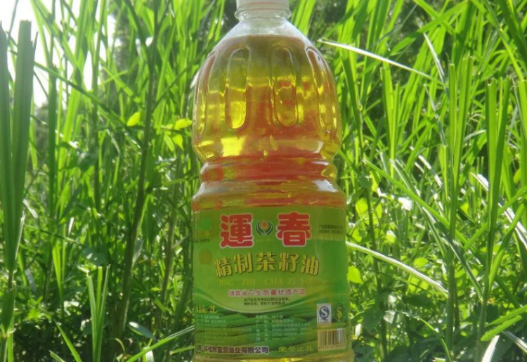 植物油是什么