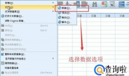 如何在SPSS中对个案等级排序