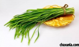 韭菜多久能长出一茬