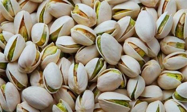 银杏果是不是开心果