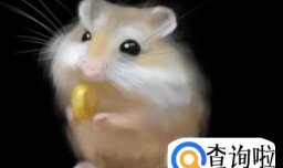 仓鼠能吃什么，不能吃什么？