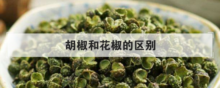 胡椒和花椒的区别