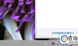 网络正常网页无法打开怎么办？