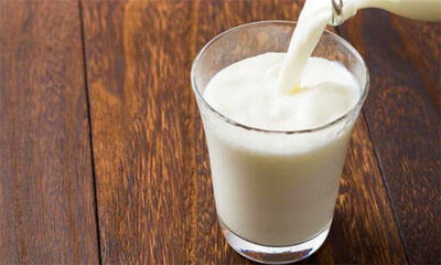 脱脂牛奶的危害