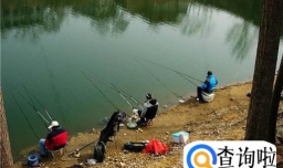 在夏天怎么钓鱼？