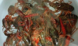 如何在家轻松做小龙虾