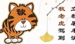 秋老虎是2021年几月几号？