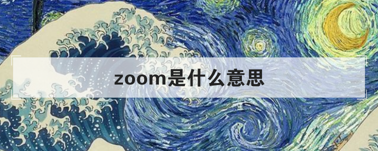 zoom是什么意思