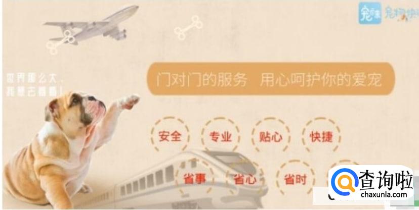 宠物托运安全吗