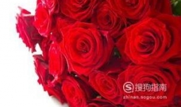 怎样追一个女生