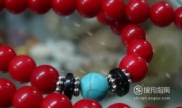 红珊瑚的鉴别方法