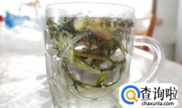 春日吃蒲公英有哪些功效？蒲公英怎么吃最好？