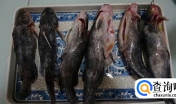 红烧嘎牙鱼的做法