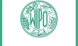 国际商标到哪注册？申请流程有哪些？