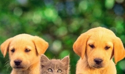 朋友有争吵应该怎么调节