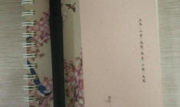 小学运动会的日记怎么写