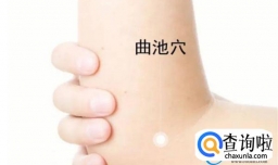 激活你身体的“血压血脂调节器”！简单实用，为家人收藏