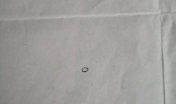 简笔画之荷叶（和小朋友互动）