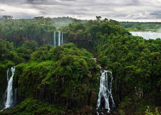 热带雨林对环境的影响