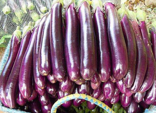 茄子的营养与功效与禁忌