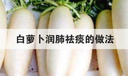 白萝卜润肺祛痰的做法