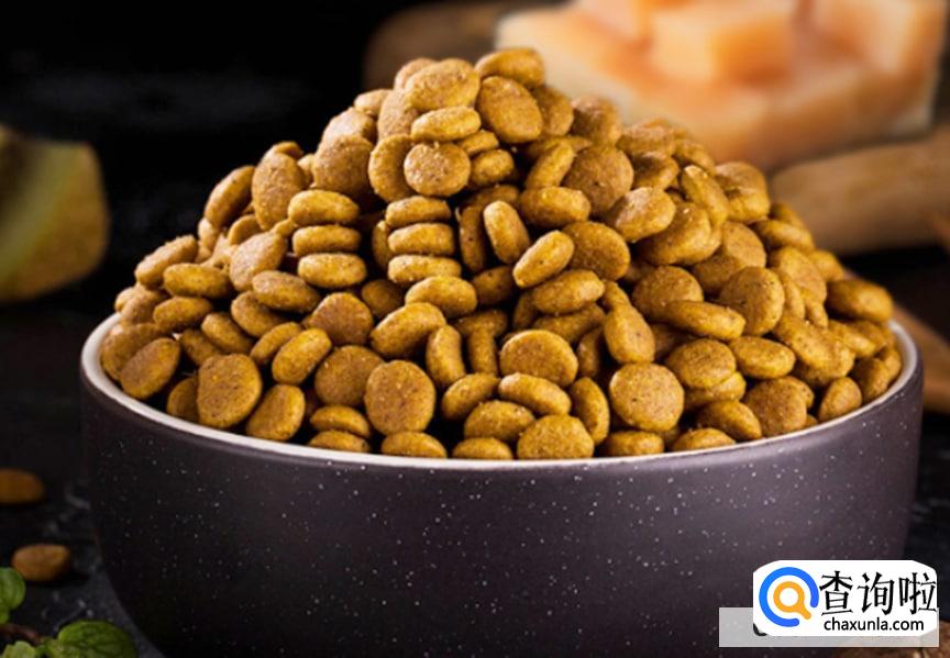 如何选择一款适合狗狗的好狗粮