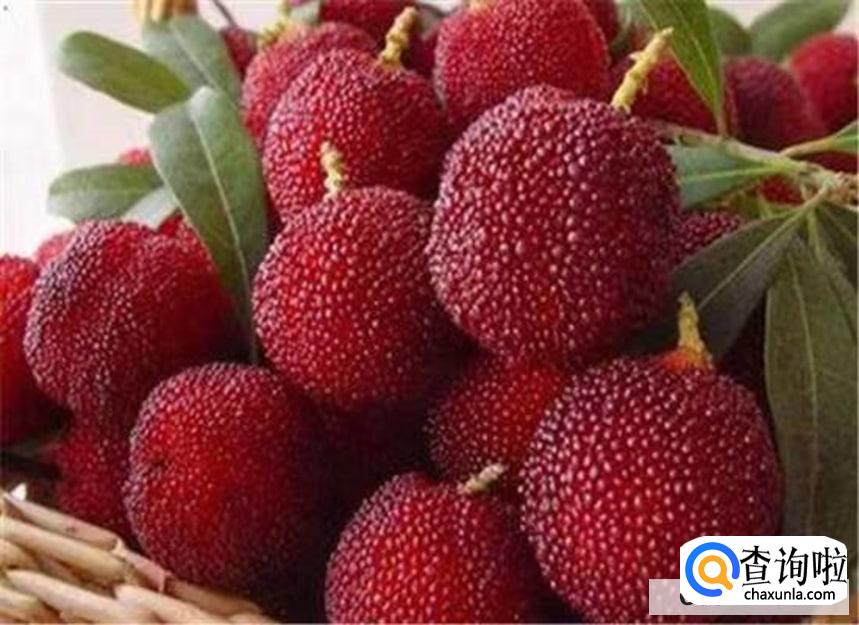 杨梅吃多了为什么牙齿会变酸