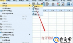 如何在SPSS中进行卡方校验