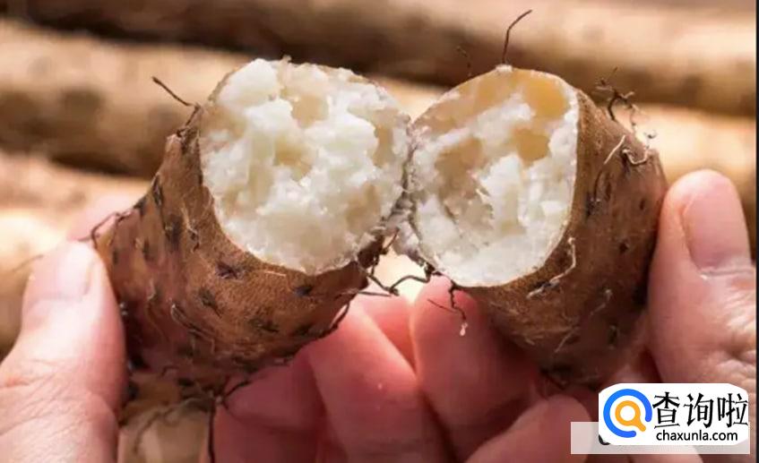 吃山药好处有哪些