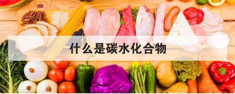 什么是碳水化合物