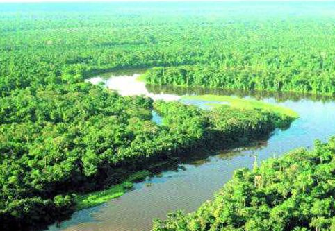 世界上最大的平原