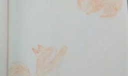 怎么用彩铅画松鼠