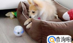 宝宝咳嗽有痰后，在护理方面应该注意什么？