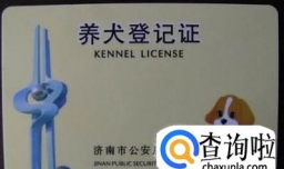 如何在济南办理狗证