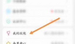 伊对软件如何查看收礼记录信息
