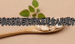 西洋参的功效与作用以及适合人群是什么？