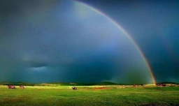 孩子高三压力大，老想看心理医生有必要吗？