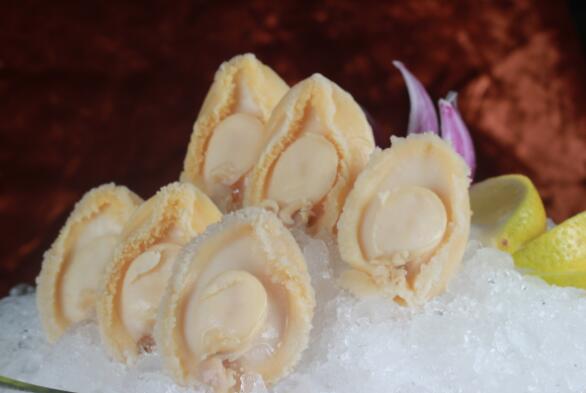 小鲍鱼的的营养价值有哪些？