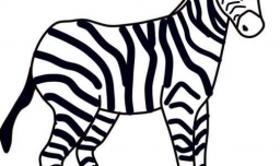 画斑马的简笔画