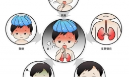 甲流疫情让人担忧，这里有20个你需要知道的问题与回答