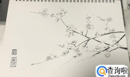 如何绘制一幅速写梅花？