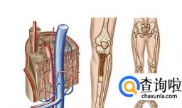 骨髓配型对血型有要求吗