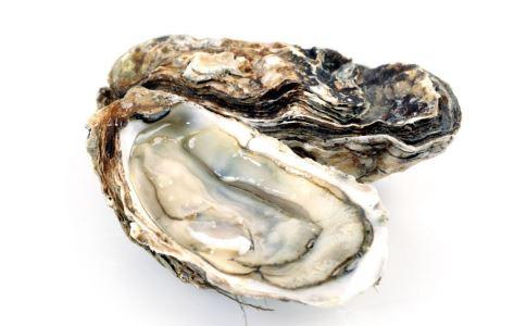 牡蛎和生蚝有什么区别