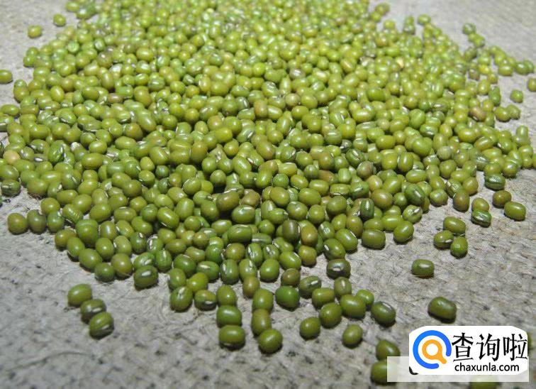 绿豆芽怎么发豆芽的步骤