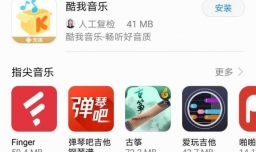 国内播放器音乐版权排行