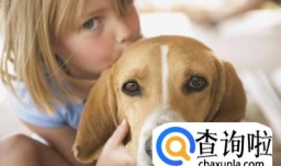 适合家养不掉毛的狗狗有哪些