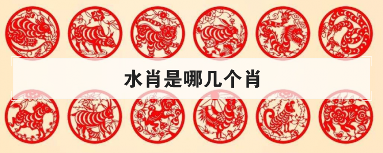 水肖是哪几个肖